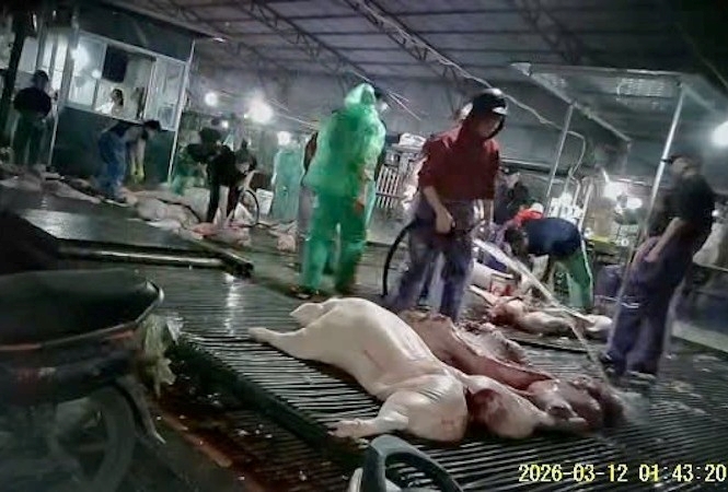 Cuộc chiến chống thực phẩm bẩn: Siết chặt 